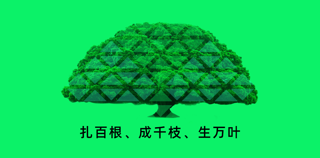 配图-3.jpg