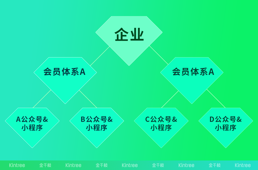 画板 2.png